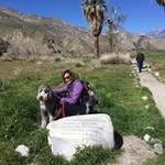 Marilyn Lees-Yensick - @leesyensick - Instagram