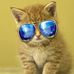 Marilyn Stump Lippert - Facebook
