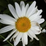 Marilynn Young Lippert - @mhlippert - Instagram