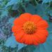 Marilyn Linton - Facebook