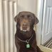 Marilyn Litten - Facebook
