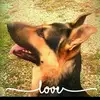 Mary Litton - @marylitton - TikTok