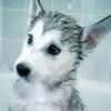 marilynwollman - @marilynwollman - TikTok