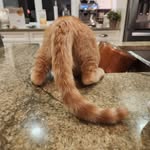 Marilyn Ludwig - @marilynludwig99 - Instagram