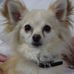 Marilyn Ludwig - Facebook
