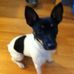 Maralyn Lytle - Facebook