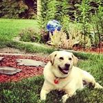 Marilyn Mackey - @mmackey42 - Instagram