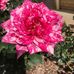 Marilyn Macpherson - Facebook