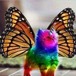 Marilyn Makin - @marilyn.makin - Instagram
