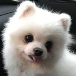 Marilyn Pilberg Mandel - @mpilberg - Instagram