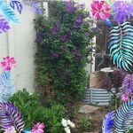Marilyn Maples - @mmaples59 - Instagram