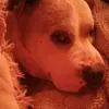 merilynmaples - @merilynmaples - TikTok