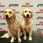 Mark Evans - @mark.marilynevans - Instagram