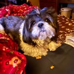 Marilyn Maroney - @marilyn.maroney.9 - Instagram