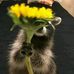 Marilyn Mason - Facebook