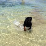 Marilyn marra - @marilyn_dogg - Instagram