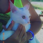 Miau Miau - @marilynmaster08 - Instagram