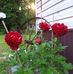 Marilyn Mathison - Facebook