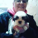 Marilyn Mcallister - @marilyn.mcallister.73 - Instagram
