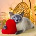 Marilyn McAlpine - Facebook