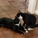 Marilyn McClellan Mears - @mmears54 - Instagram
