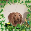 marilynmcdonnell3 - @marilynmcdonnell3 - TikTok