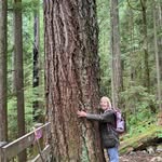 Marilyn Mc Dougall - @marilynmcdougallsena - Instagram