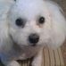 Marilyn McGraw - Facebook