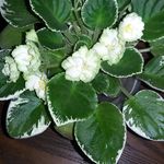 Marilyn Mcgraw - @marilynmcgraw01 - Instagram