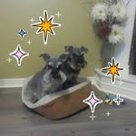 Marilyn Benness Mckinnon - @mamckinnon52 - Instagram
