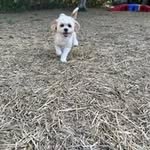 Marilyn Meade - @panda24k2 - Instagram