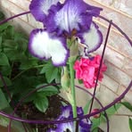 Maralyn Mecham - Facebook