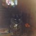 Marilyn Meehan - Facebook