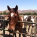 Marilyn Meeks - Facebook