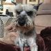 Marilyn Merrell - Facebook