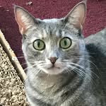 Marilyn E Messer - @marilyn_e_messer - Instagram