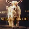 Marilyn E Messer - @marilyn.e.messer - TikTok