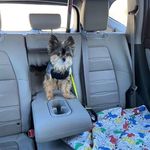 Marilyn Messer - @mjmesser49 - Instagram