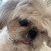 Marilyn Spitzer-Mitchum - Facebook