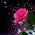 Marilyn Mosley - Facebook