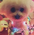 Marilyn Murrell - Facebook