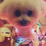 Marilyn Murrell - @marilyn.murrell.56 - Instagram