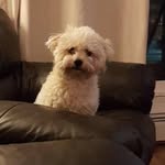 Marilyn McNally - @marilyn.mcnally.509 - Instagram