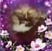 Marilyn Neese - Facebook