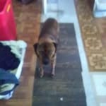 Marilyn Neese - @neesemarilyn - Instagram