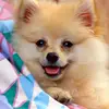 maralyn oaks - @maralyn.oaks - TikTok