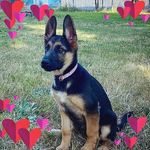 Marilyn Olds Campbell - @marioldscamp - Instagram