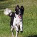 Marilyn Overgaard-Watson - Facebook