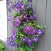 Marilyn Ouellette - Facebook