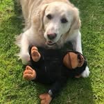 Marilyn Packham - @marilynpackham - Instagram
